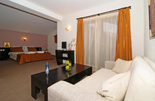 Spa Hotel Planinata Ribarica Room photo