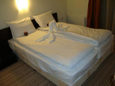 Spa Hotel Planinata Ribarica Room photo